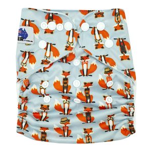 Clever Fox Modern Cloth Nappy Front